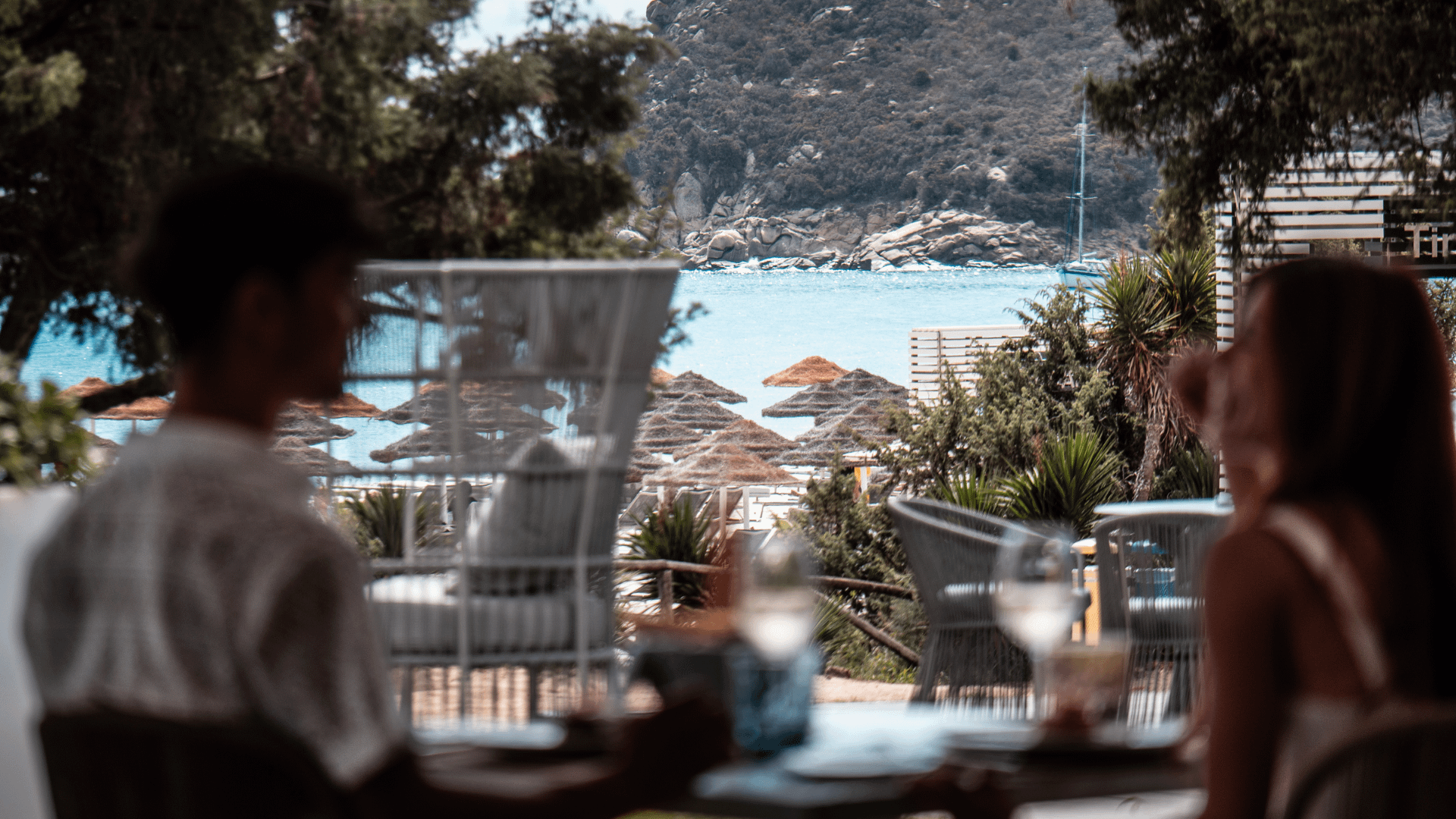 Summer Taste